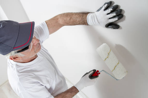 Best Asbestos and Lead Testing During Mold Inspection  in South Milwaukee, WI