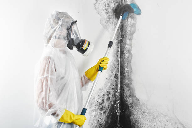  South Milwaukee, WI Mold Removal Pros