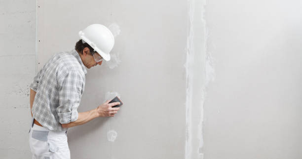 Best Mold Odor Removal Services  in South Milwaukee, WI