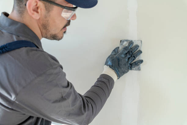 Best Water Damage & Mold Remediation  in South Milwaukee, WI