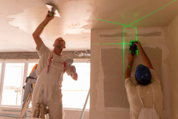 Professional Mold Removal in South Milwaukee, WI