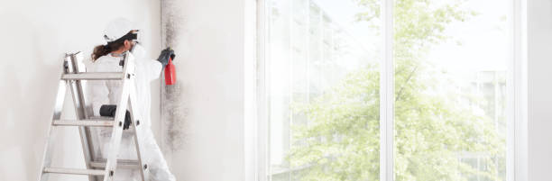 Mold Documentation for Insurance Claims in South Milwaukee, WI