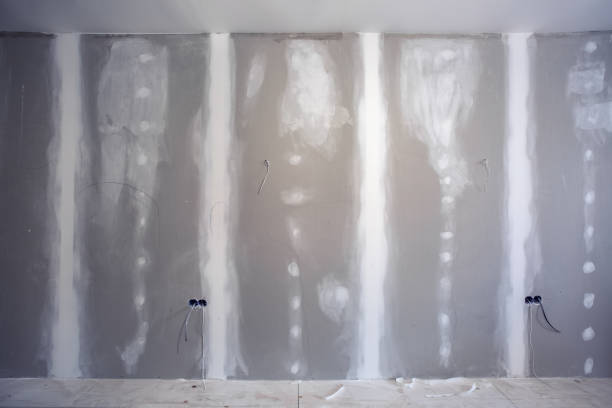 Best Crawl Space Mold Remediation  in South Milwaukee, WI